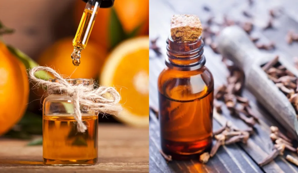 óleos de laranja e cravo