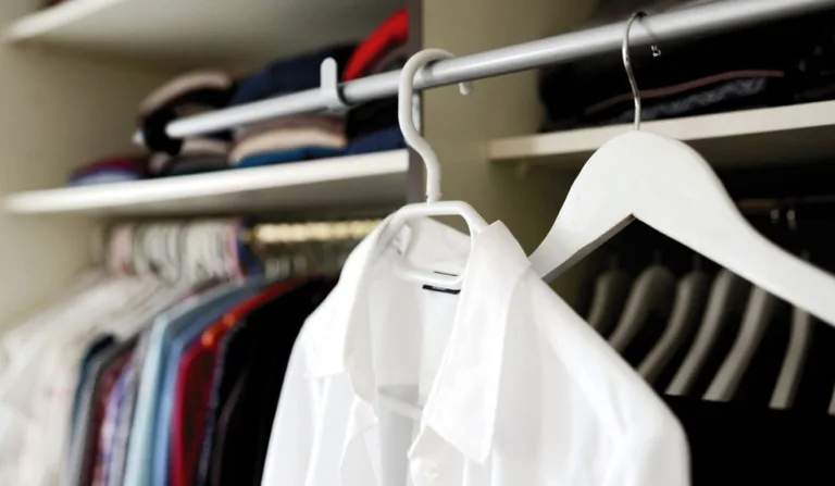 Mofo na roupa é um problema comum no Brasil