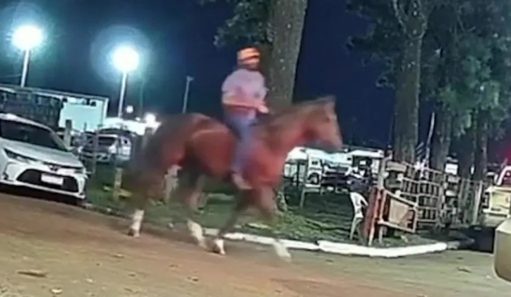 Homem furtando cavalo