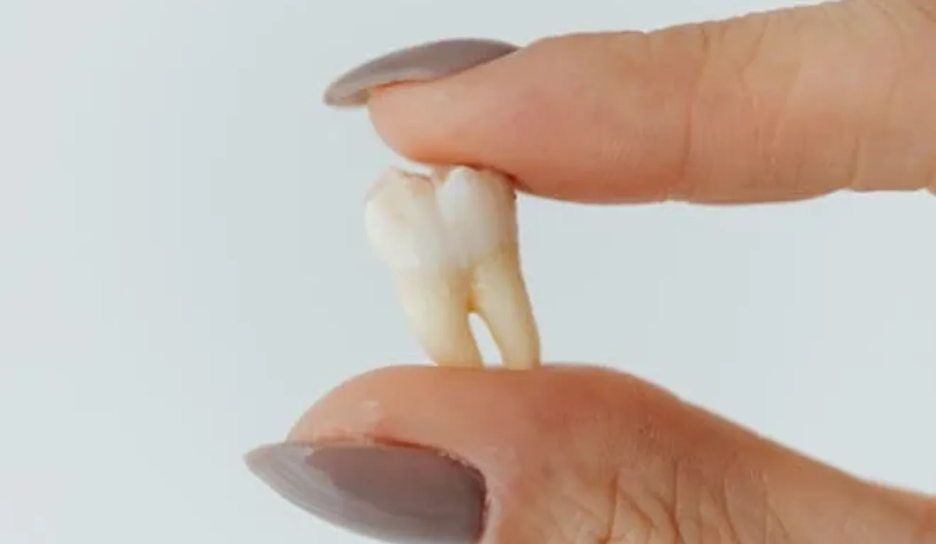 Imagem ilustrativa de uma mão segurando um dente.