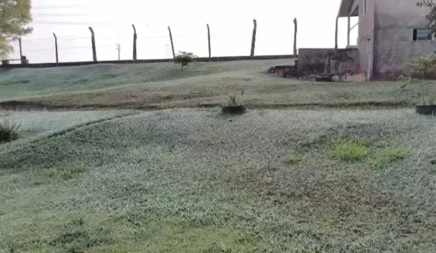 Geada é registrada em Cascavel, no dia mais frio do ano do Paraná