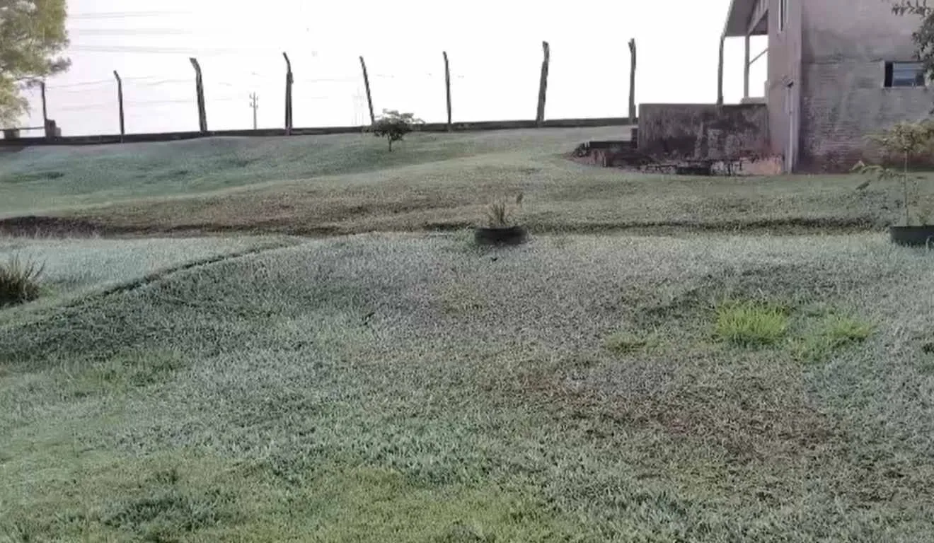 Geada é registrada em Cascavel, no dia mais frio do ano do Paraná