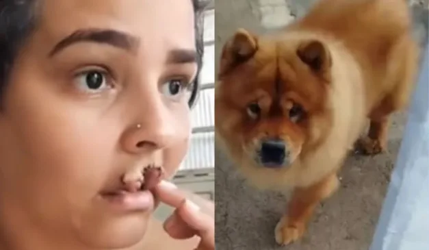 mulher que teve lábio arrancado por cachorro chow chow