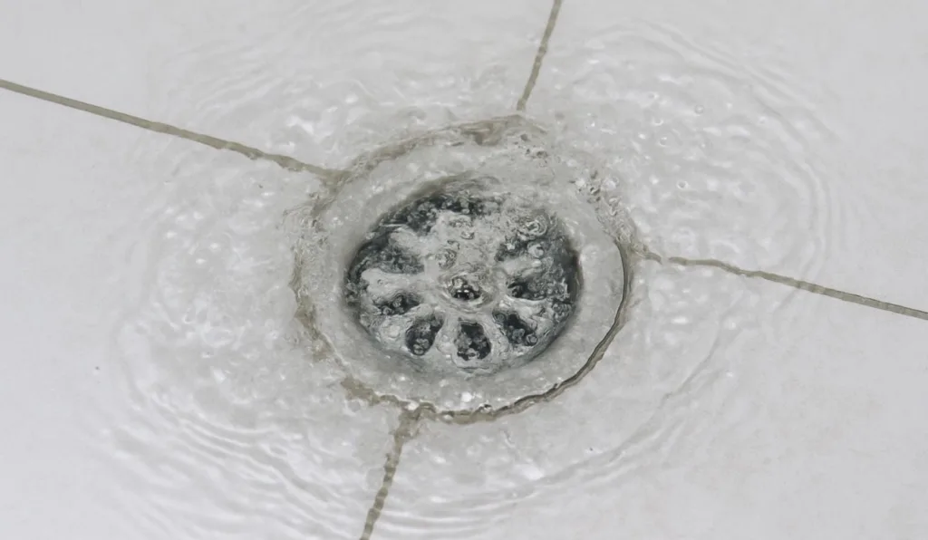 água no ralo do banheiro
