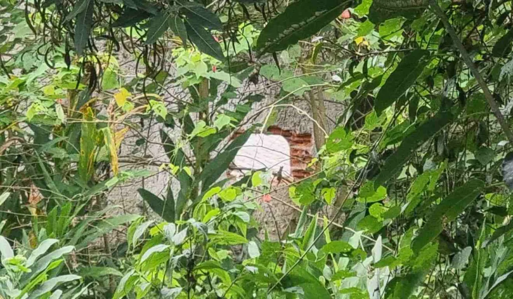 Suspeitos invadiram o condomínio de luxo por um buraco no muro