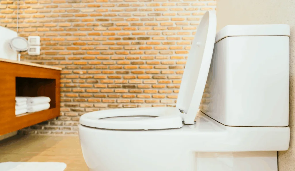 Imagem ilustrativa de um vaso sanitário.