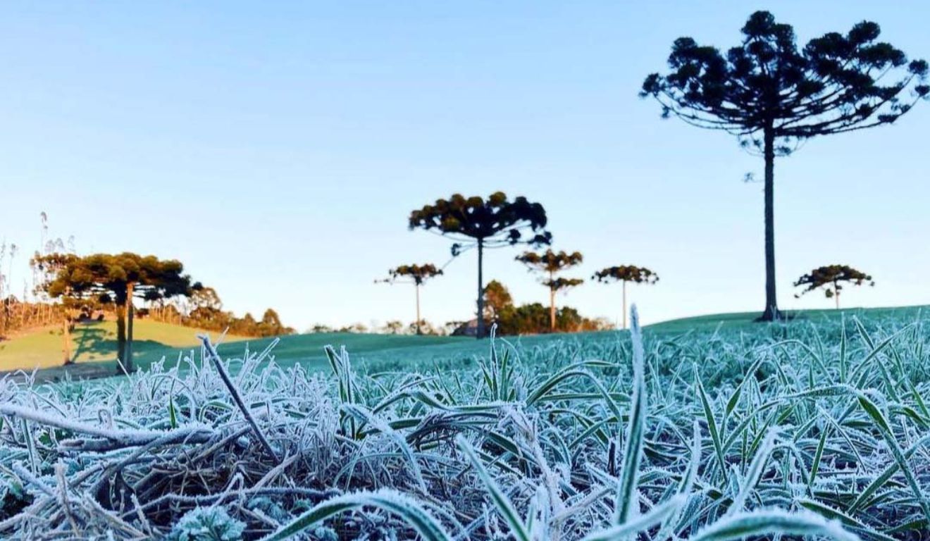 geada no paraná