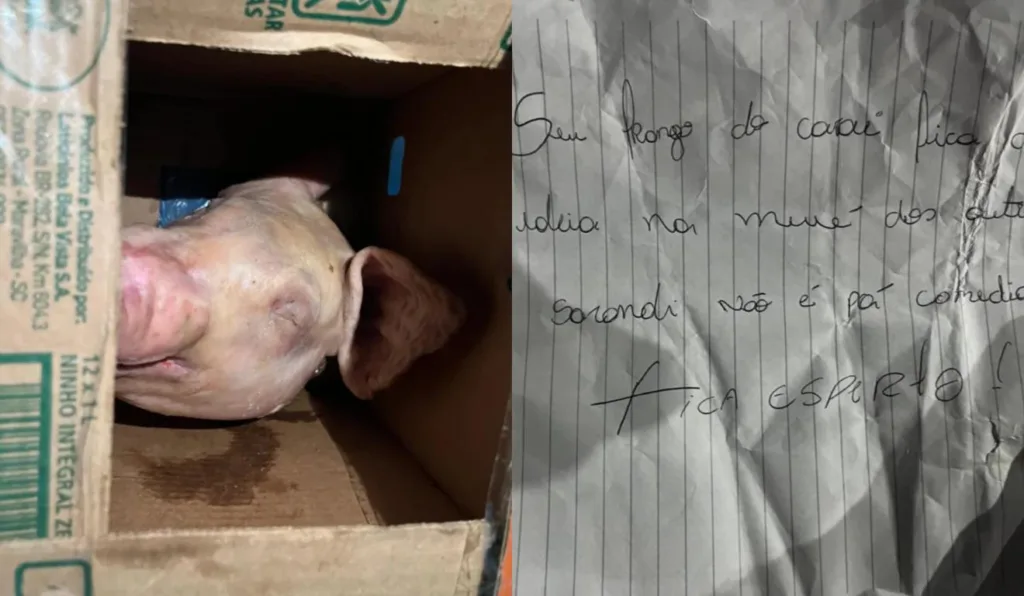 Cabeça de porco estava em uma caixa de papelão