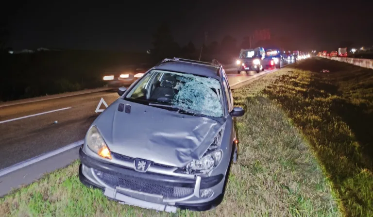 Jovem morre atropelado na BR-116, em São José dos Pinhais