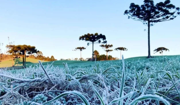 gramado com geada para ilustrar neve no Paraná