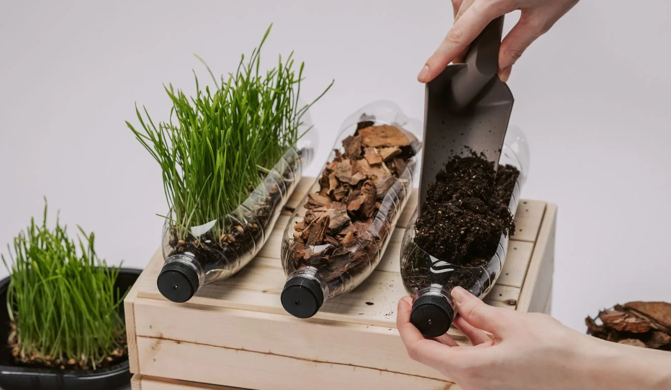 plantas em garrafas pet 