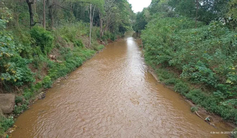 rio jaú