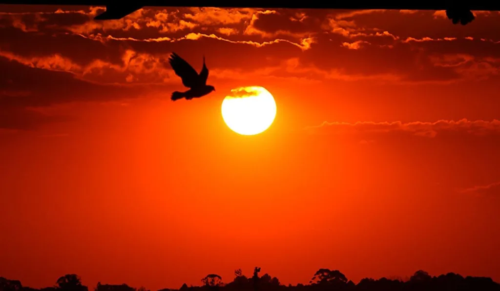 sol para ilustrar a previsão do tempo em Curitiba