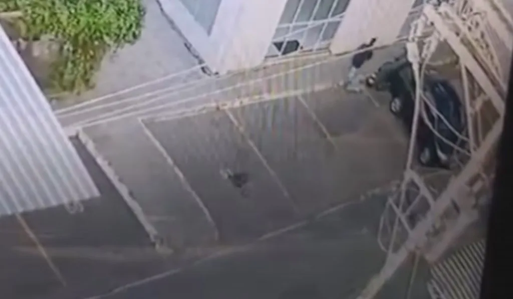 menino sobrevive a ser jogado da janela