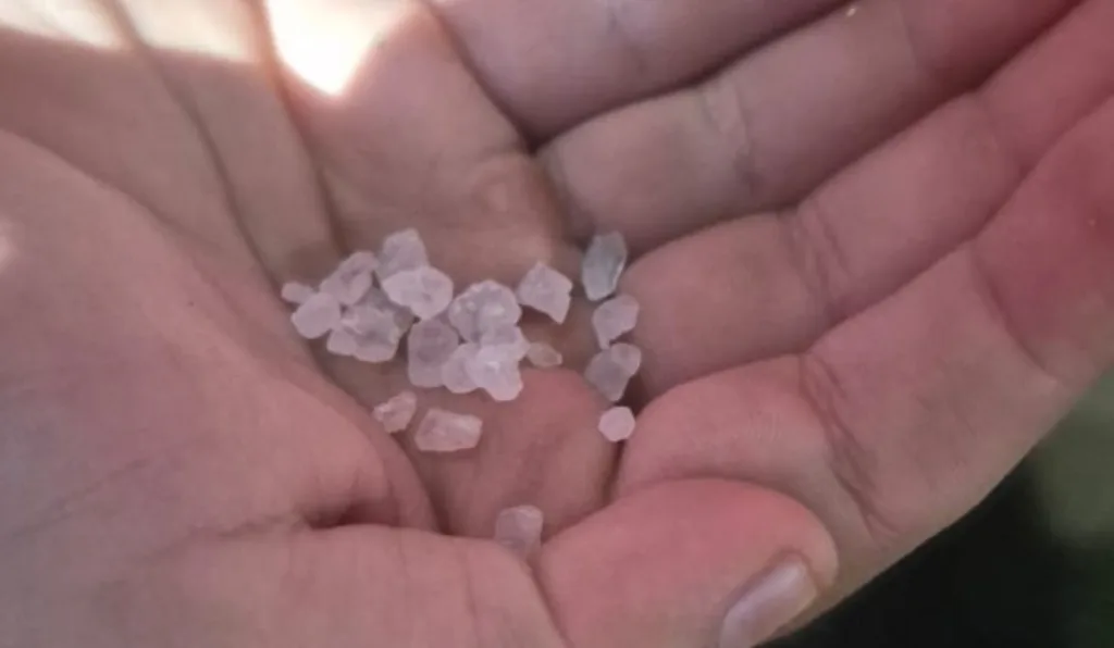 Torcedor do Athletico apelou para o sal grosso antes do jogo pela Copa do Brasil.