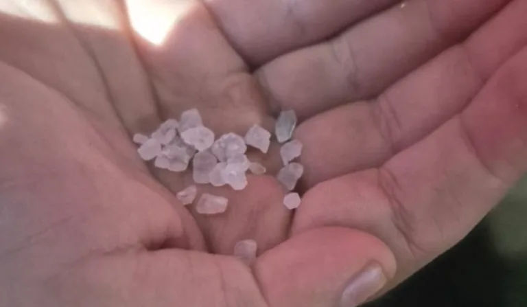 Torcedor do Athletico apelou para o sal grosso antes do jogo pela Copa do Brasil.