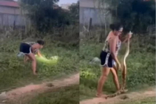 Mulher captura cobra no Maranhão e viraliza na internet - Foto: Reprodução