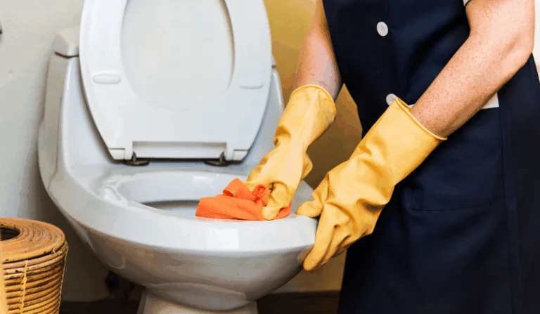 Imagem ilustrativa de uma pessoa limpando o vaso sanitário.