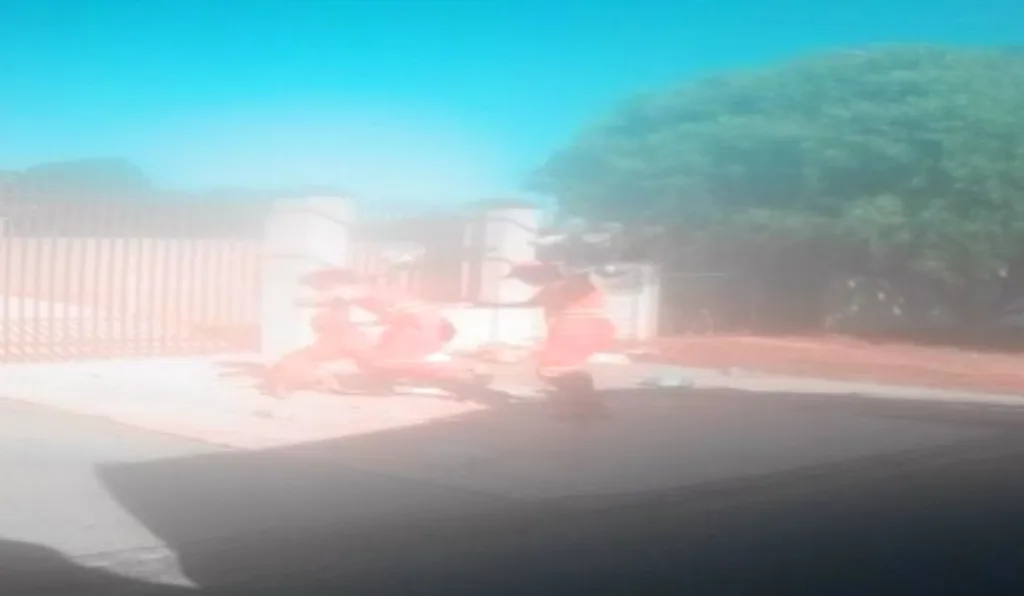 coletores de lixo sendo atacados por pitbull