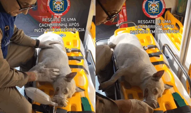 O caso ocorreu no Bairro Alto