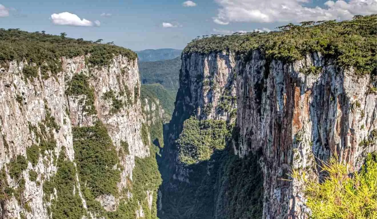 Cânios de praia grande, imagem aérea