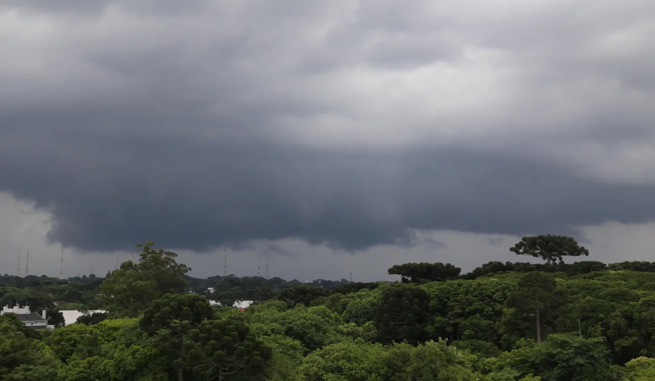 céu escuro com árvores ao redor