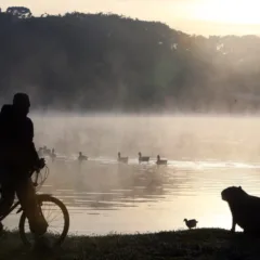 Cidade de General Carneiro registrou o dia mais frio do ano no Paran&aacute;, com -3,6&deg;C