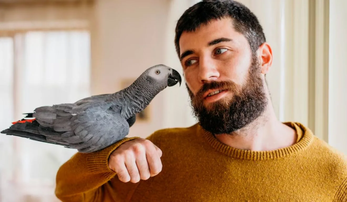 homem segurando cacatua