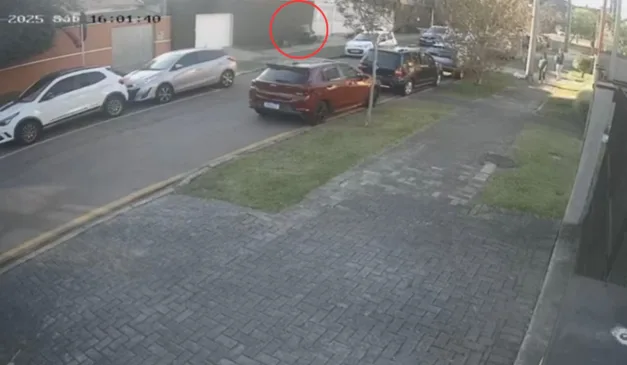 Grávida é atacada por cachorros em Curitiba