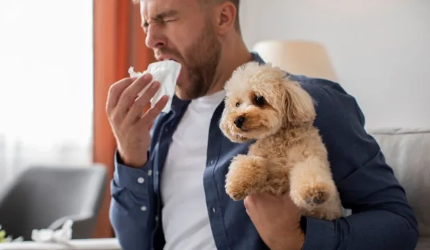 homem com alergia a cachorro