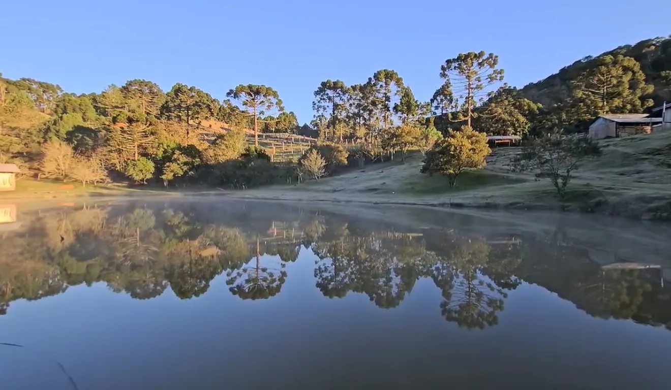 Com céu limpo e ventos fracos, o frio intenso favoreceu geadas em várias regiões do estado nesta quarta-feira (25)