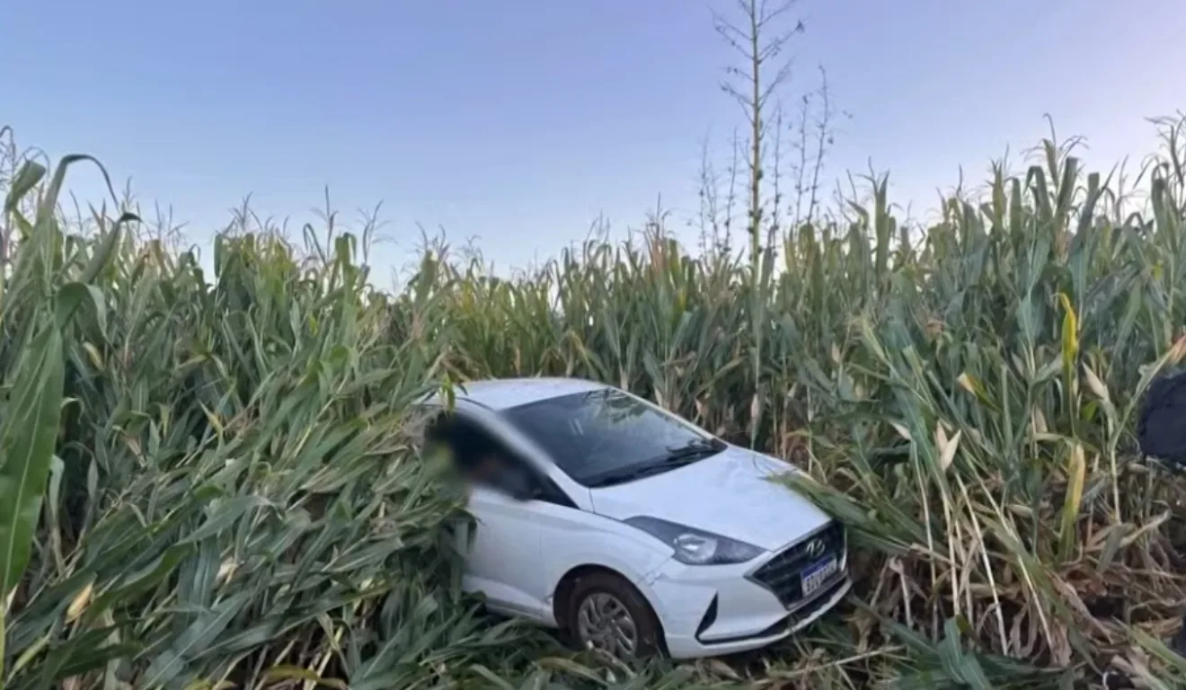 carro branco no milharal