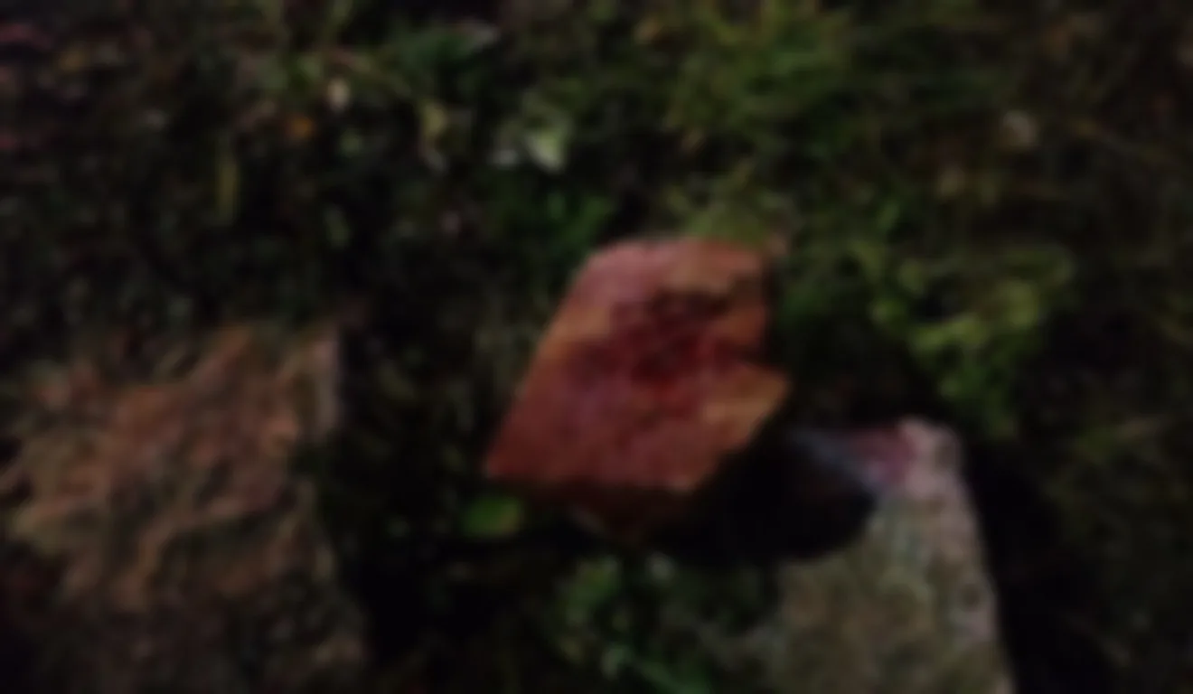 Pedra ensanguentada usada para atacar Julio