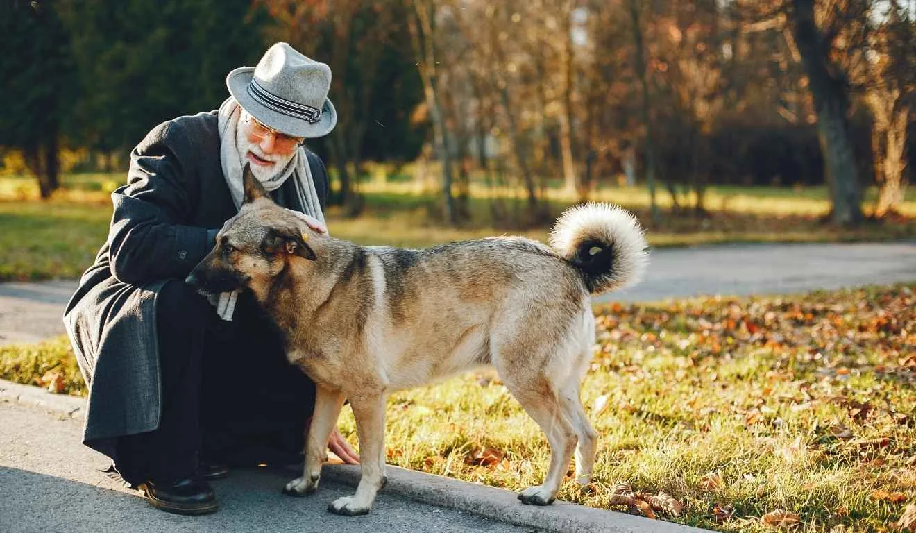 idoso fazendo carinho em cachorro