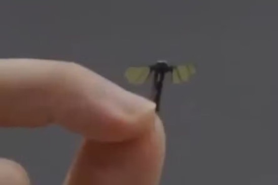 'Drone Mosquito' promete revolucionar a tecnologia mundial - Foto: Reprodução / X