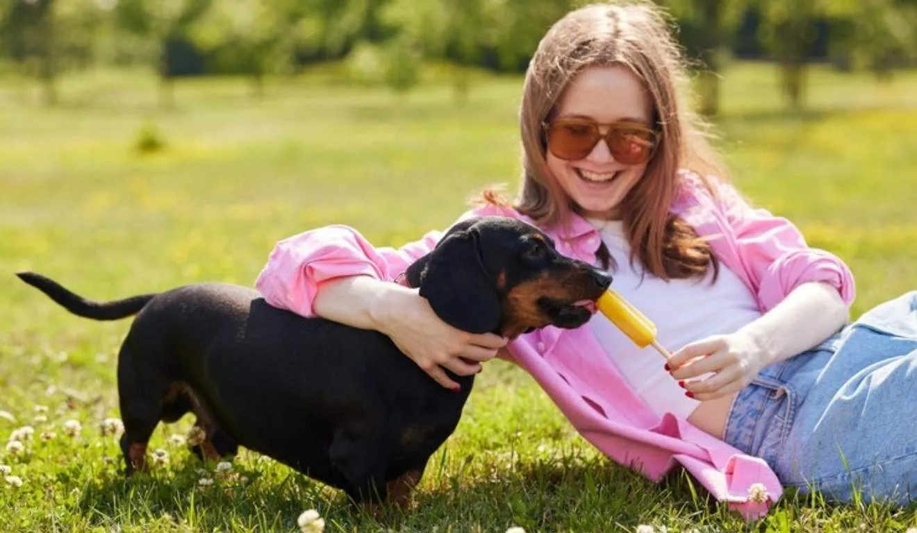 mulher fazendo carinho em cachorro salsicha