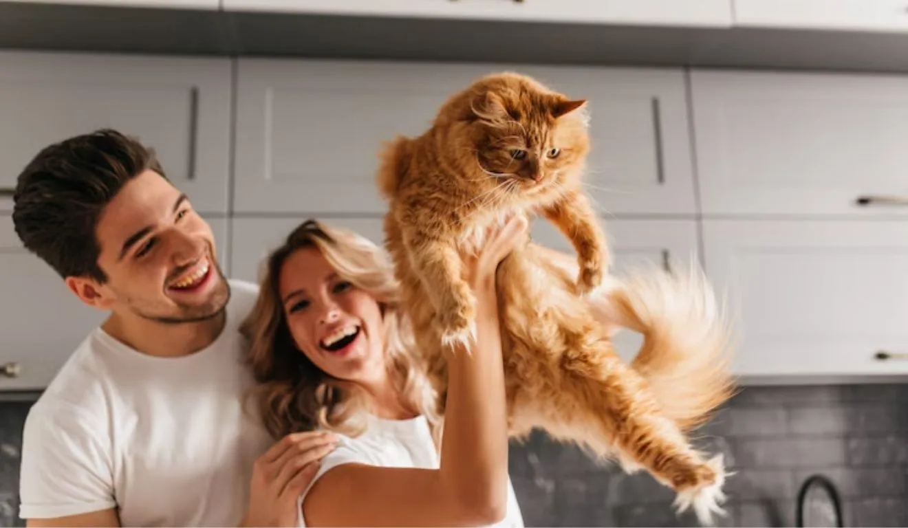 casal segurando gato laranja