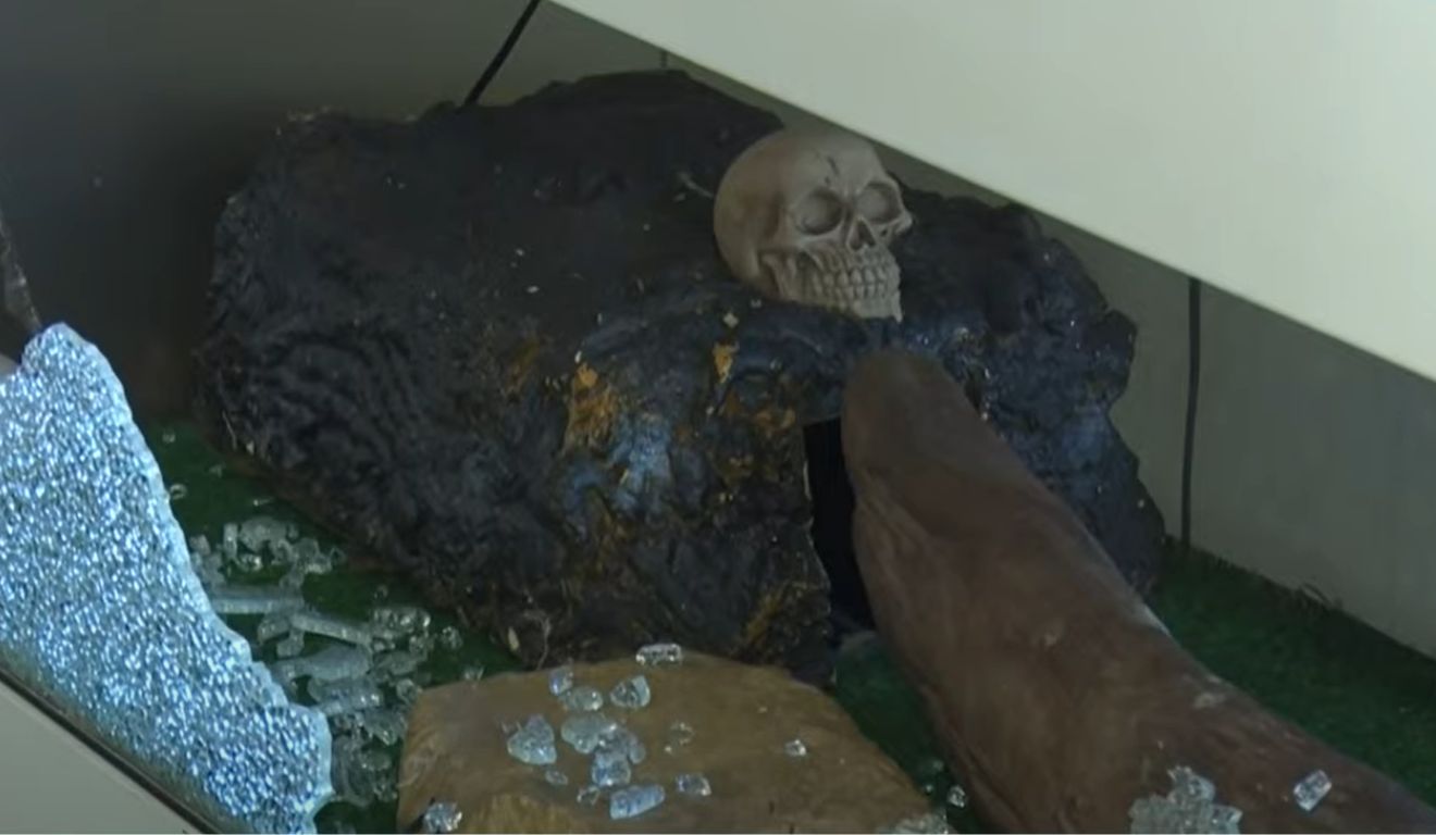Terrário em que jiboia, furtada no Paraná, morava