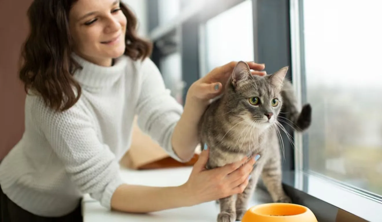 mulher fazendo carinho em gato
