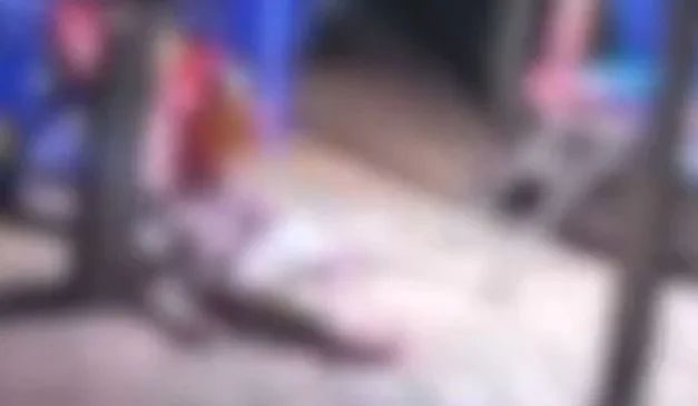 criança que matou mãe com tiro acidental