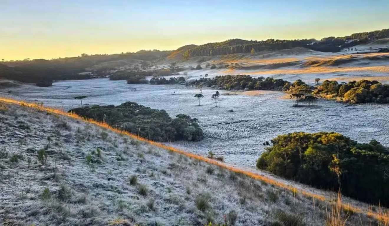 São Joaquim teve geada no dia mais frio do ano, nesta quarta-feira (11)