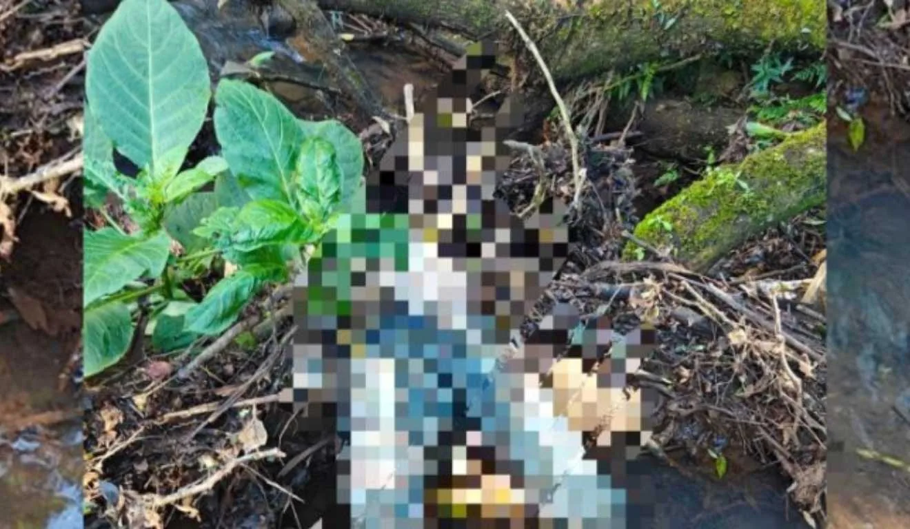 corpo em decomposição achado no rio