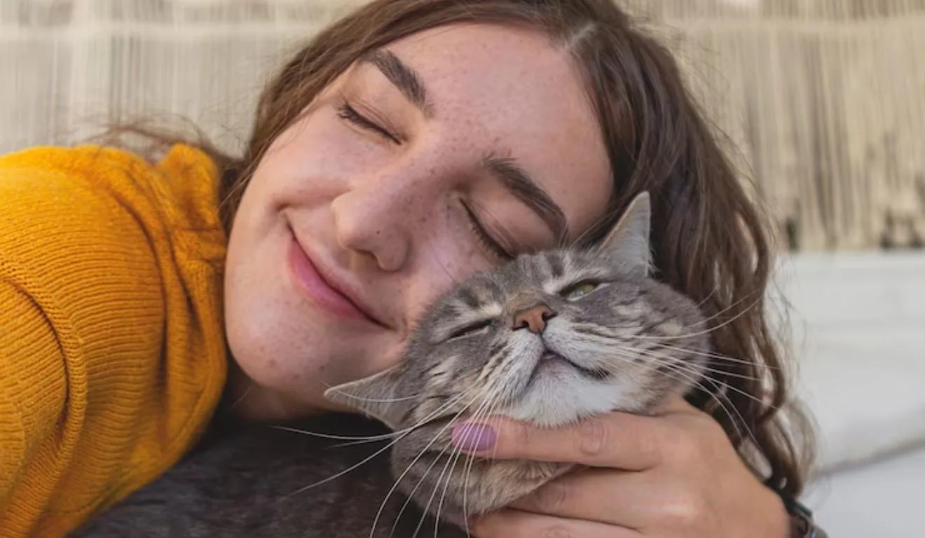 gato se esfregando em dona