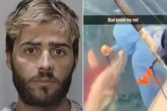 Homem é preso após esfaquear tubarão - Foto: Reprodução / Monroe County Sheriff's Office - Key West