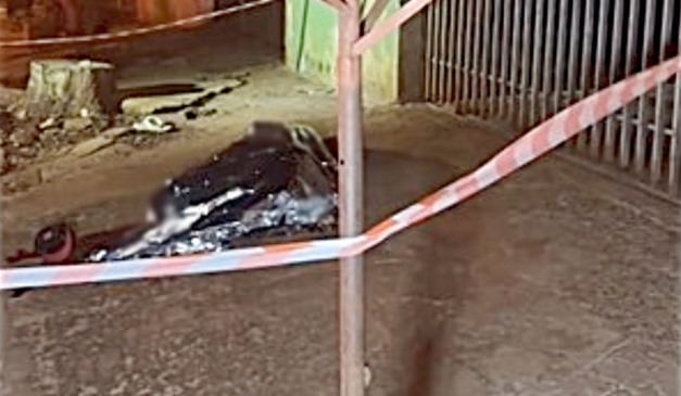 corpo do adolescente Yuri Naruam dos Reis, de 16 anos, assassinado com um tiro na cabeça em Paiçandu, Região Metropolitana de Maringá enquanto conversava com alguns amigos