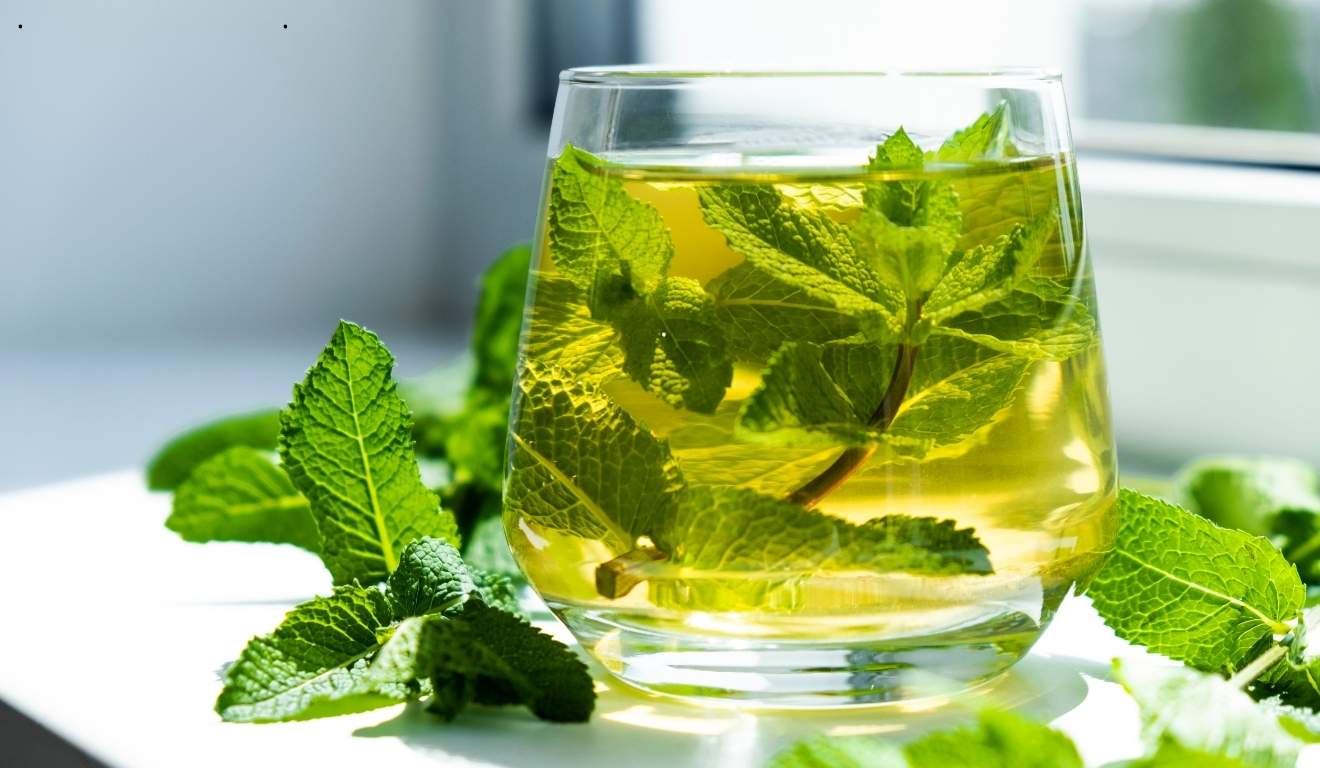 chá de hortelã