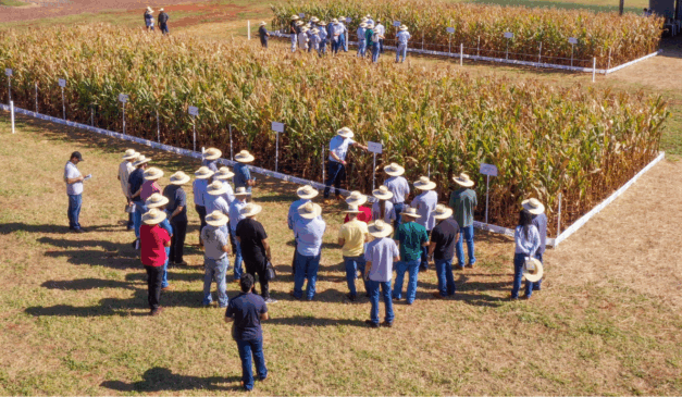foto aerea de agricultores em uma plantação da Coamo