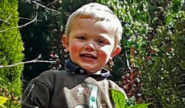 Criança que morreu atacada por cachorros em jardim