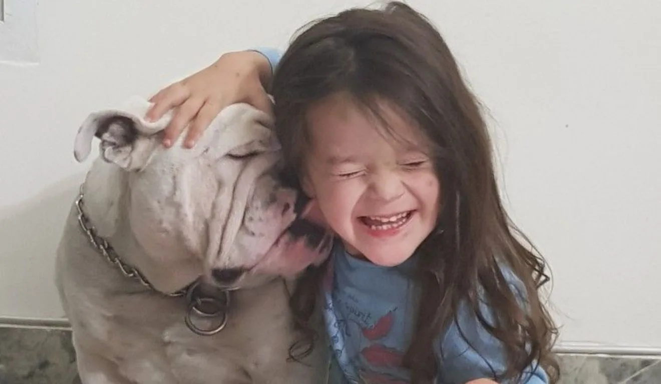 bulldog lambendo rosto de menina