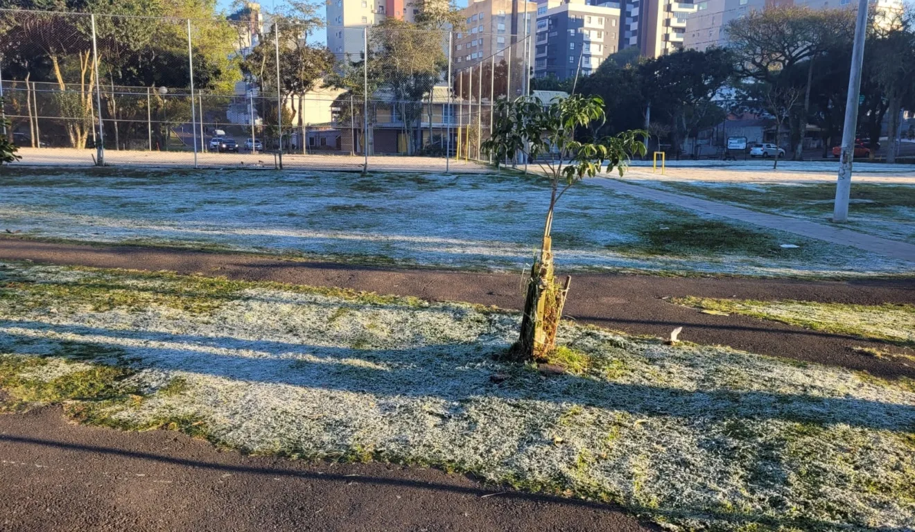 Paraná amanhece gelado: saiba onde registraram as menores temperaturas nesta quarta